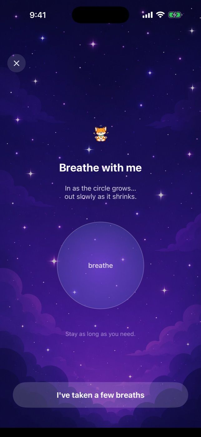 Guided breathing, paced by an expanding circle